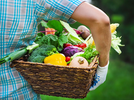 Los superalimentos que puedes cultivar en casa